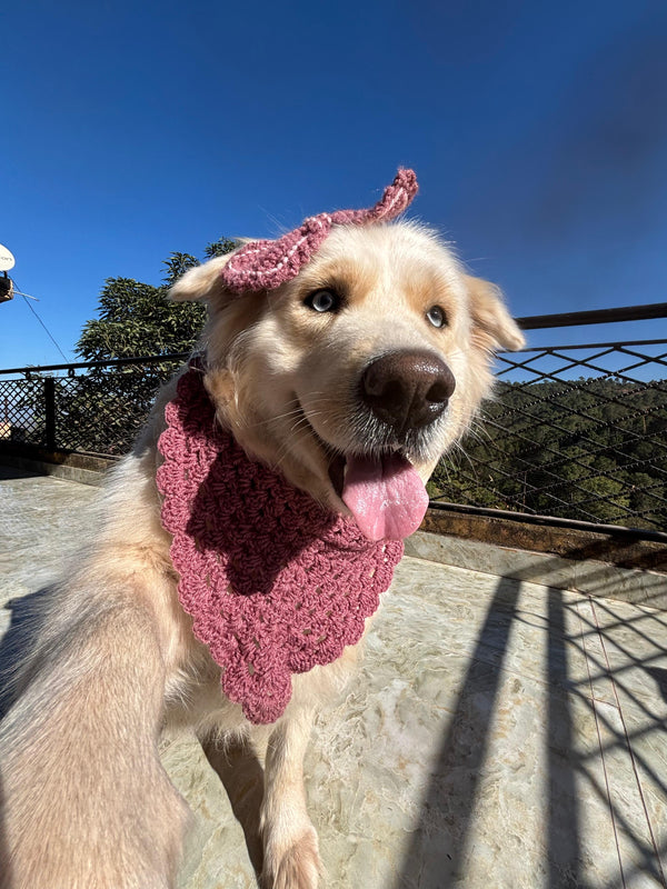 DOG BANDANA AND BOW