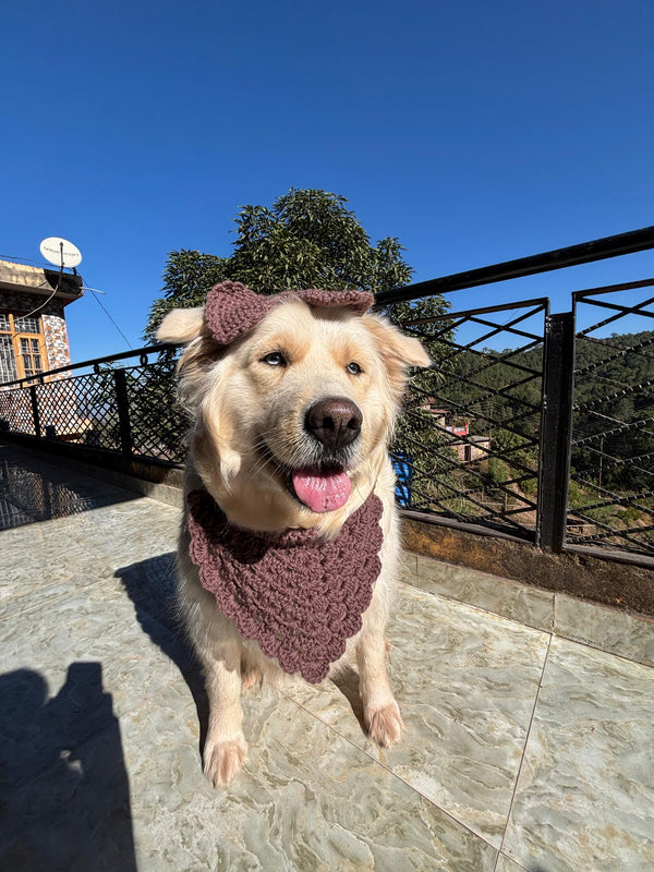 DOG BANDANA AND BOW