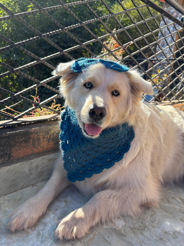 DOG BANDANA AND BOW