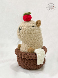 CAPYBARA