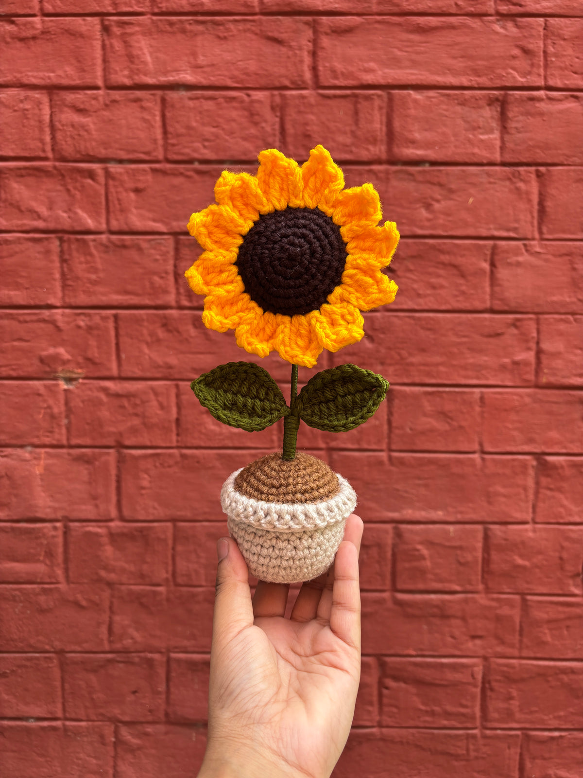 SUNFLOWER POT