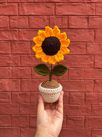 SUNFLOWER POT