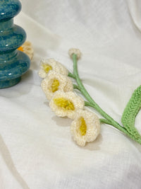 LILY OF THE VALLEY