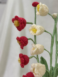 LILY OF THE VALLEY