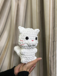 BABY CAT