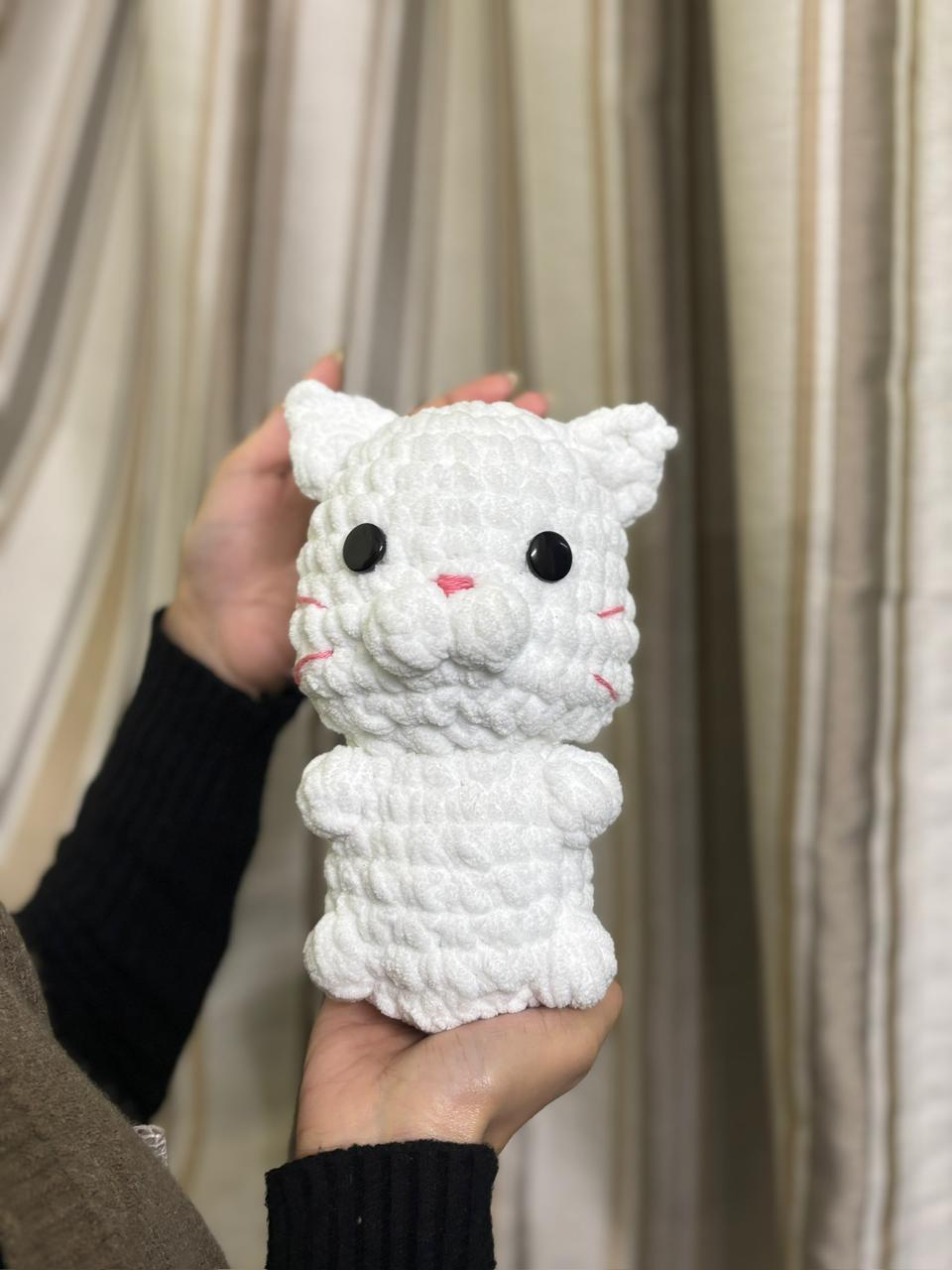 BABY CAT
