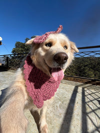 DOG BANDANA AND  BOW