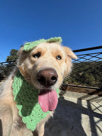 DOG BANDANA AND  BOW