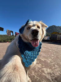 DOG BANDANA AND  BOW