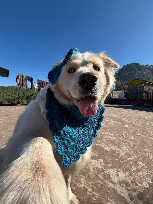 DOG BANDANA AND  BOW