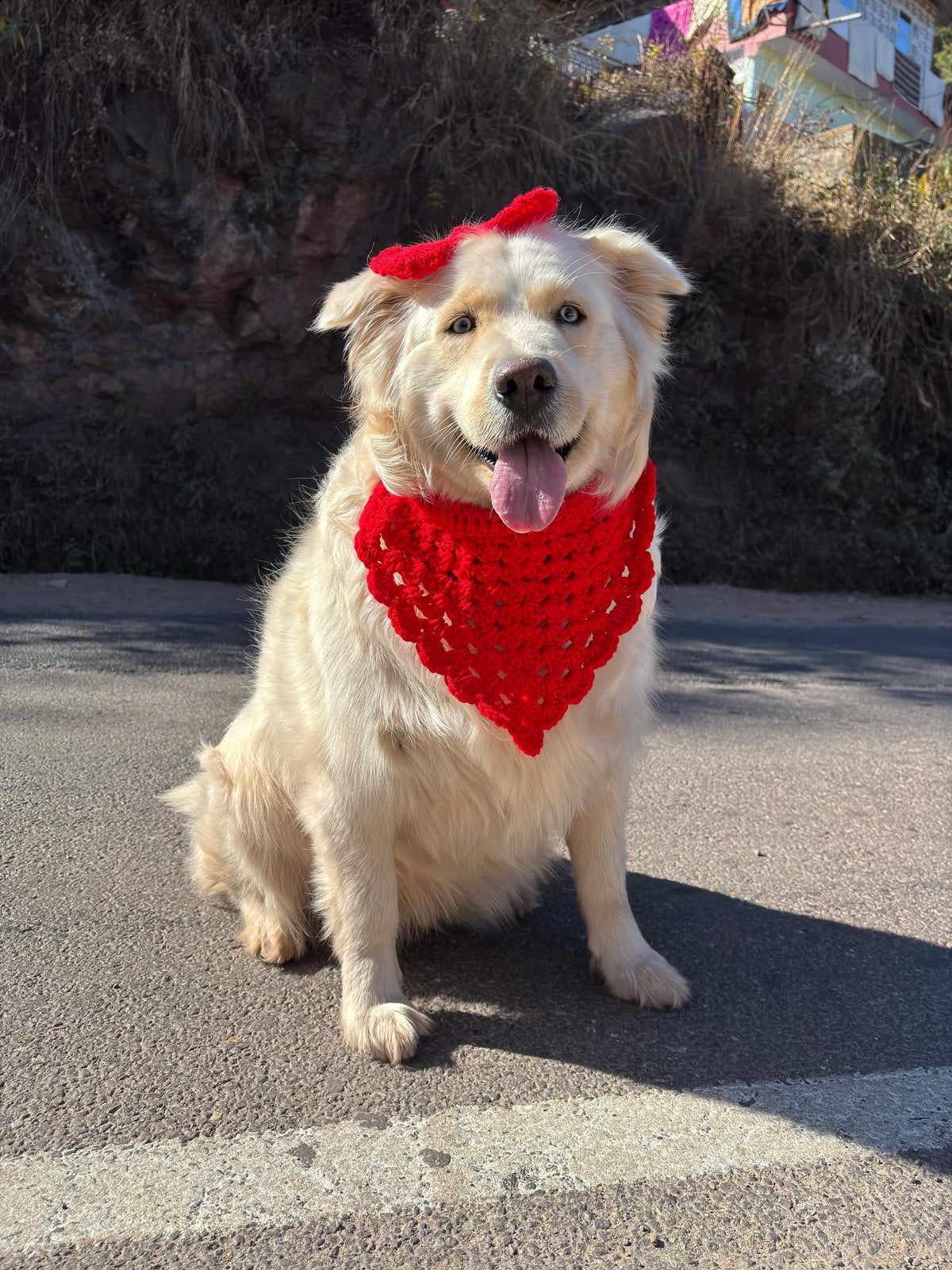 DOG BANDANA AND  BOW