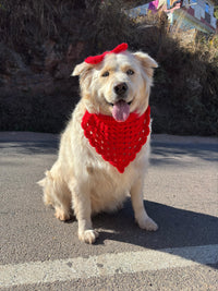 DOG BANDANA AND  BOW