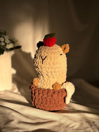CAPYBARA
