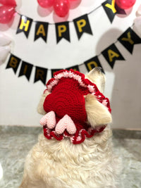 DOG HAT